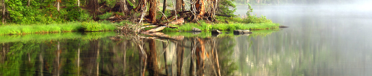 Taiga Wetlands Celebration – July 27, 2023 at 7:30 – 8:15 PM » Friends of  Green Lake